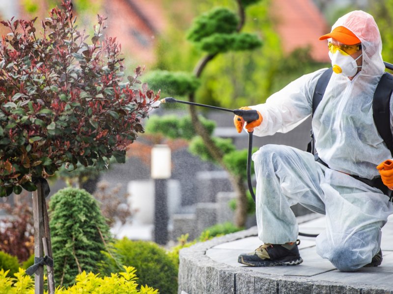 Demirköprü Haşere İlaçlama